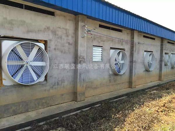 工厂降温设备,负压风机,通风降温工程